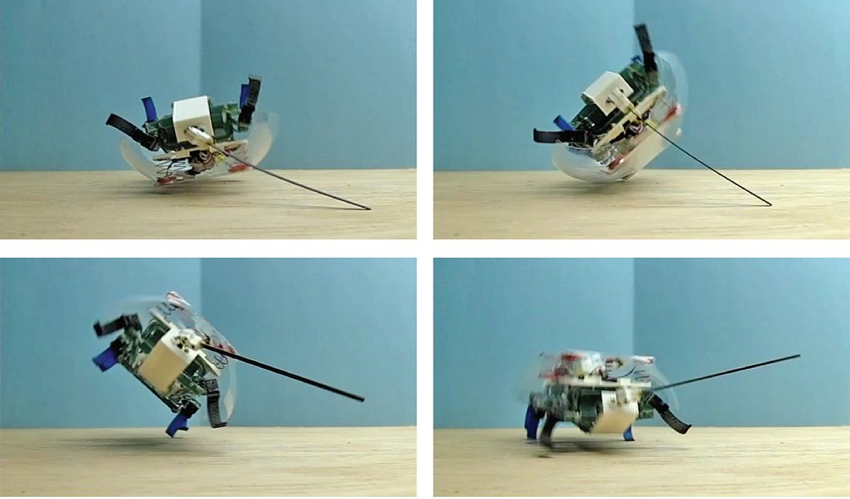 UC Berkeley VelociRoach robot with tail