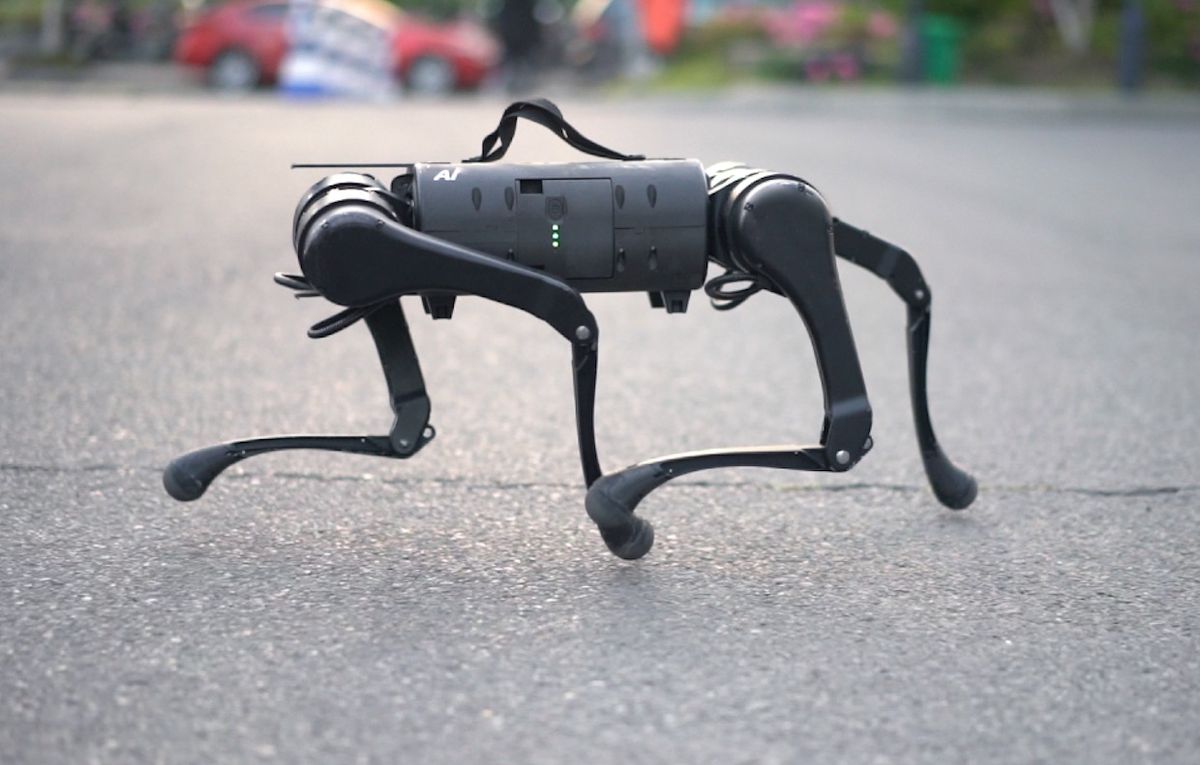 Unitree Robotics A1 quadruped robot dog