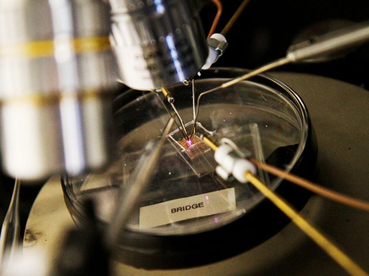 A Transistor that Stands Up to Blistering Nuclear Reactor Temperatures