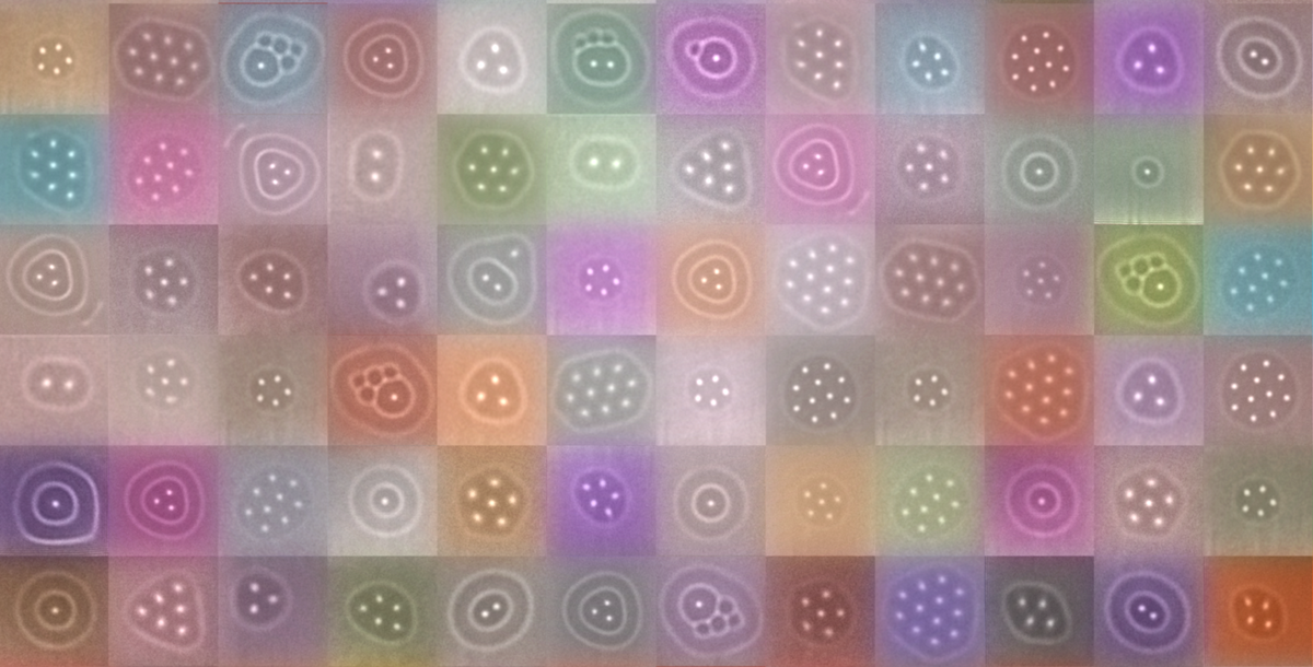 various circles with dots in them on different colored squares in a grid formation