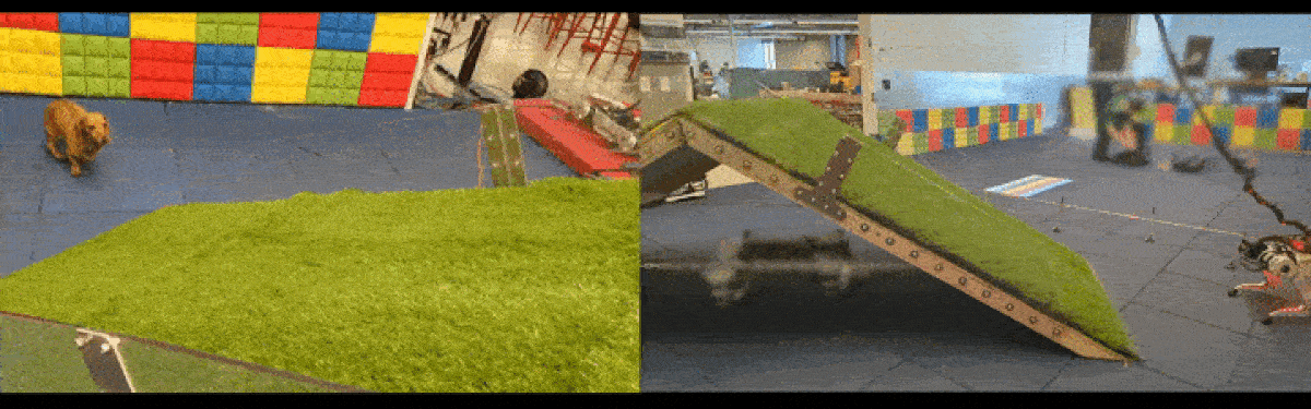 Video clips show a dog running up a grassy ramp indoors, and then on a quadruped robot running up the ramp.