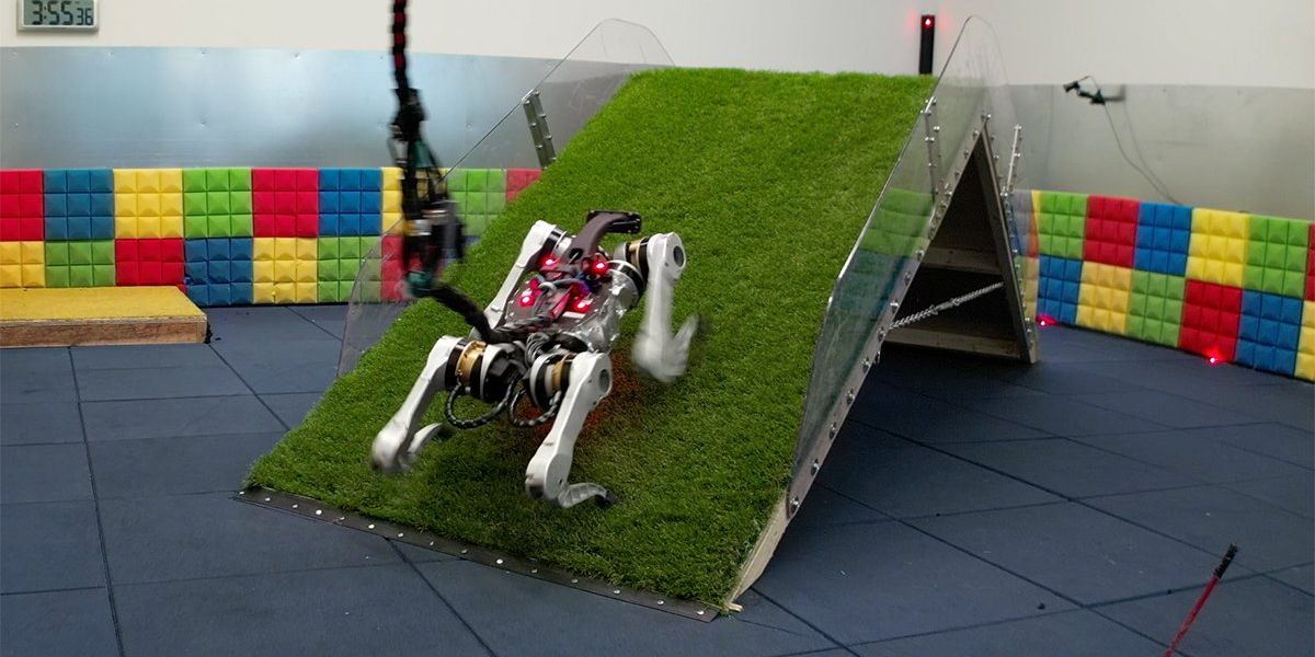 Analyse comparative des robots avec Barkour inspiré des chiens