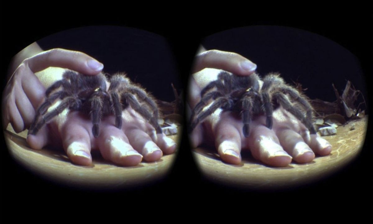 View through virtual reality headset of a Chilean rose hair tarantula on a participant's hand.
